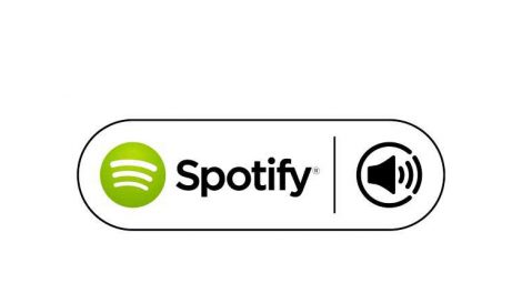 spotify connect