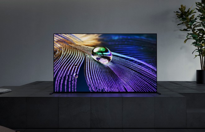 bravia xr