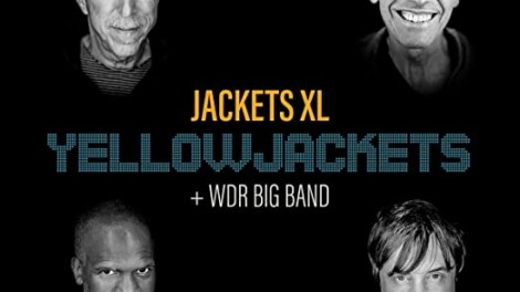 Yellow Jackets