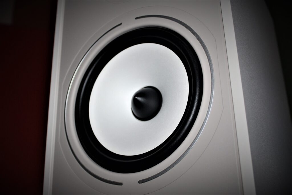 Triangle Borea BR03 midwoofer