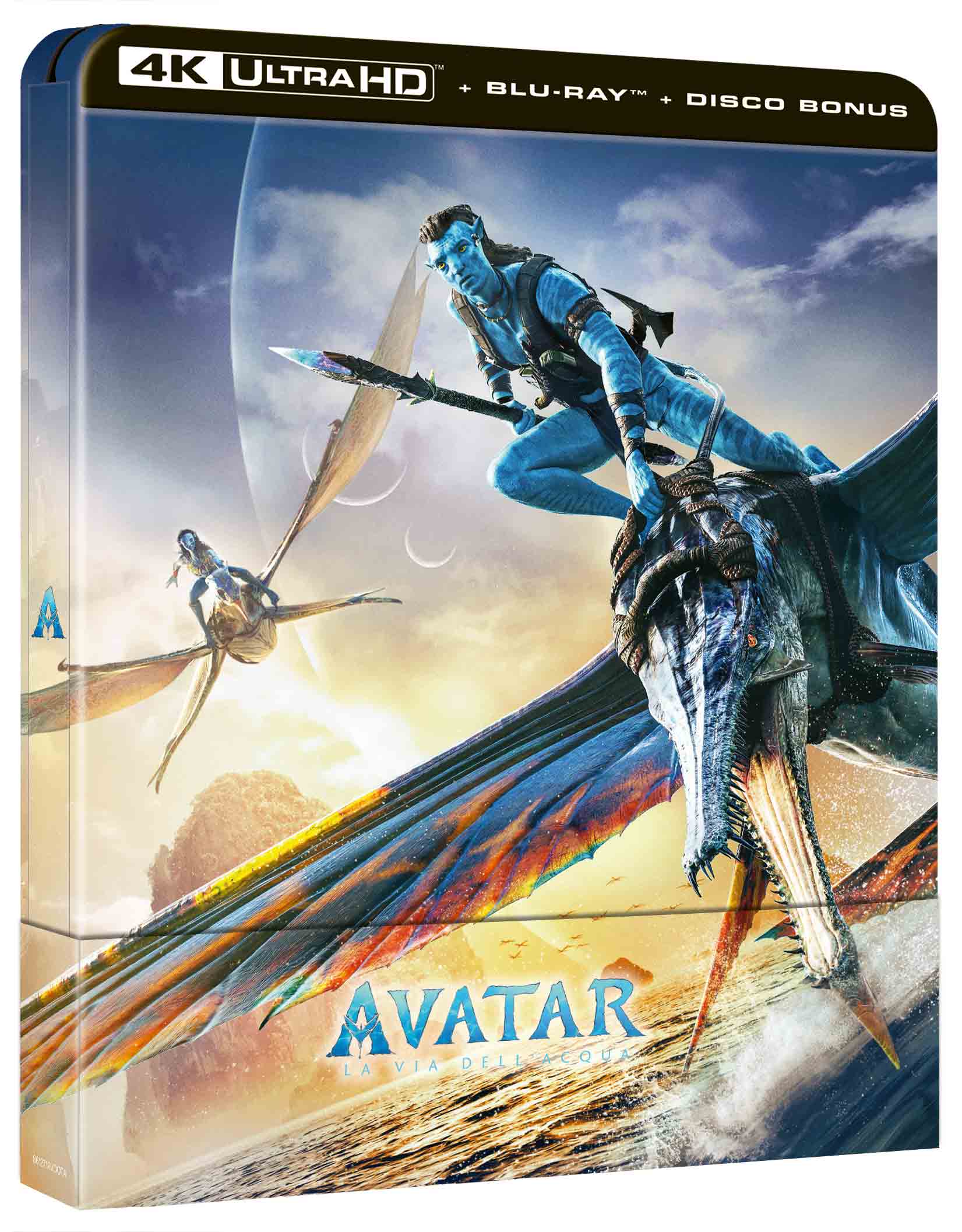 Avatar