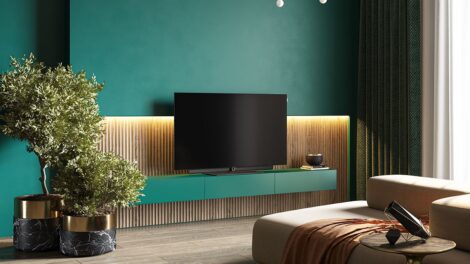 tv loewe
