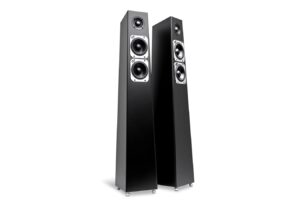 Tribe Tower Thunderbird
