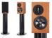 proac response db1r