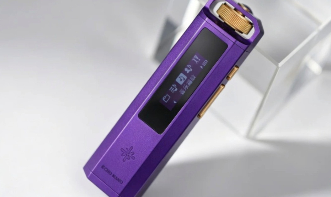 SnowSky Echo Nano