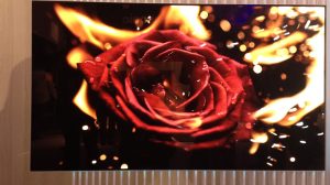 IFA 2016 Panasonic Oled