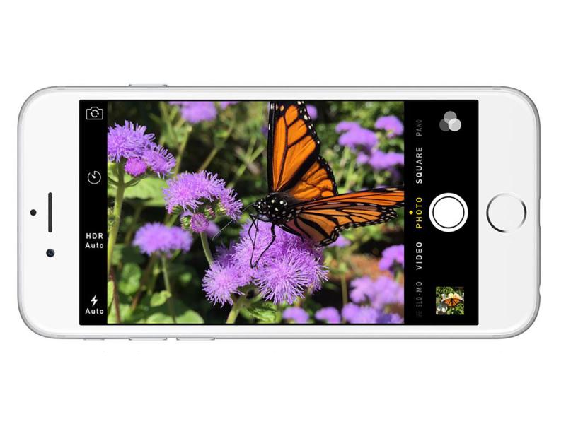 butterfly iphone6